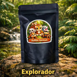 Doflins Explorador (5)